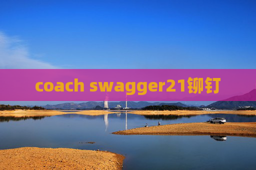 coach swagger21铆钉